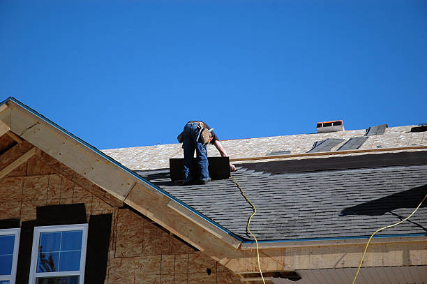 Best Roof Moss and Algae Removal  in Woodville, MS