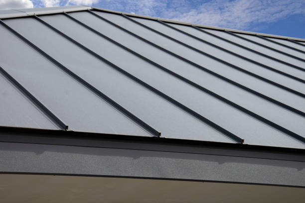 Best Solar Panel Roofing Installation  in Woodville, MS